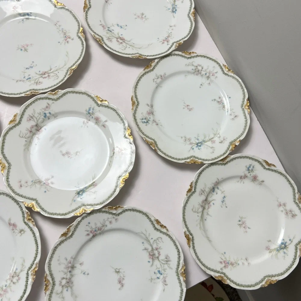 Haviland & Co. Limoges haviland co